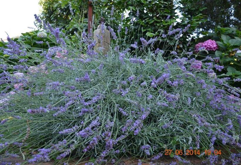 Отель Villa Hermes