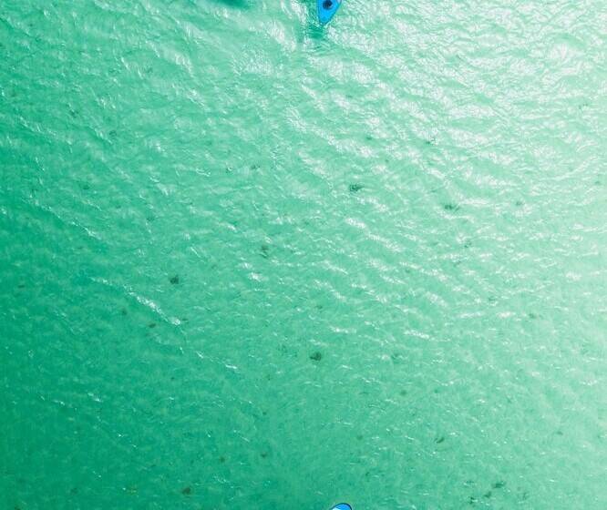 酒店 Wallaroo Holiday Park