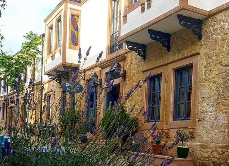 فندق Ziyabey Konagi