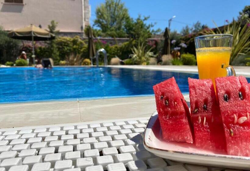 فندق Ziyabey Konagi