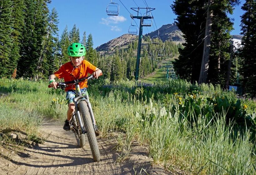 Kirkwood Mountain Resort Properties