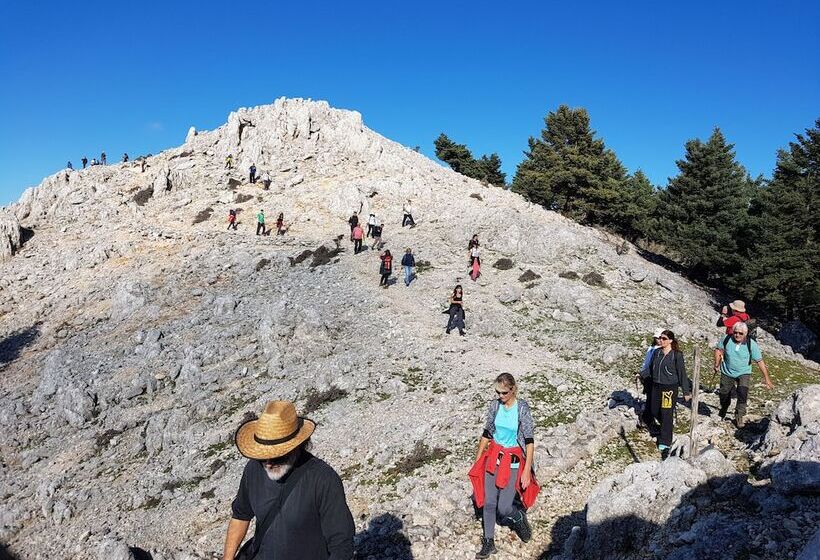 Koxyli Studios & Apartments