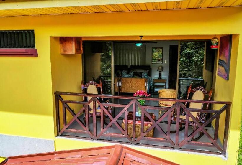 La Terraza Guest House B&b