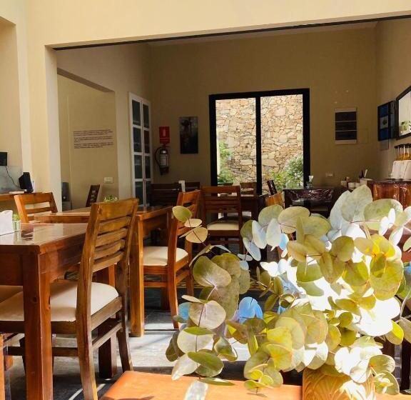 酒店 Posada Boutique Le Vrero