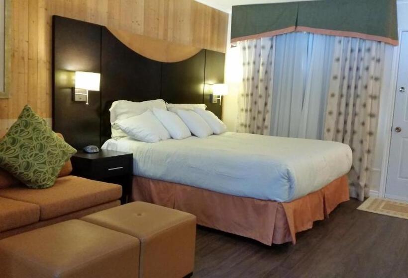 汽车旅馆 Trailsman Lodge