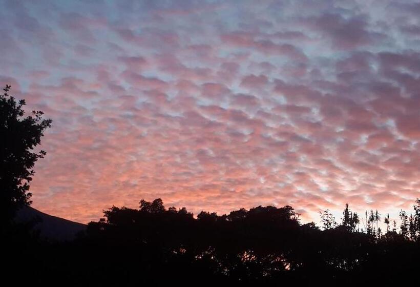 פנסיון Flametree Guesthouse