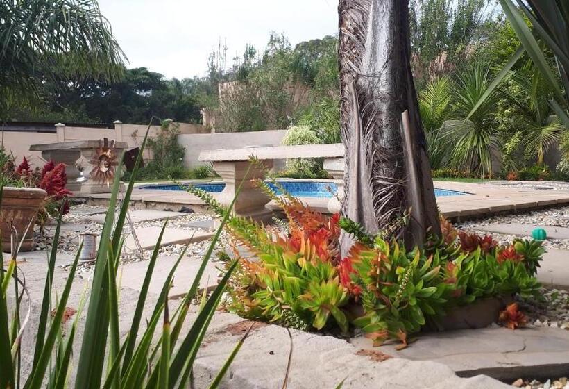 פנסיון Flametree Guesthouse