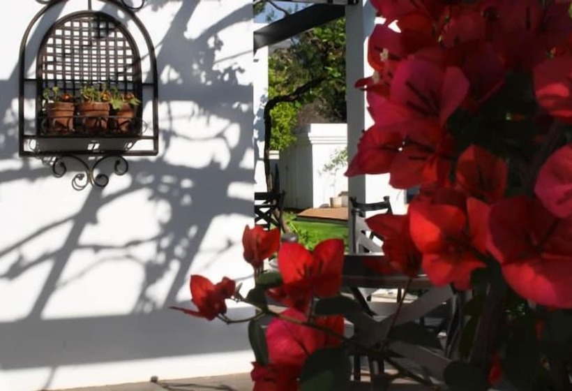 פנסיון Lemon & Lime Guesthouse