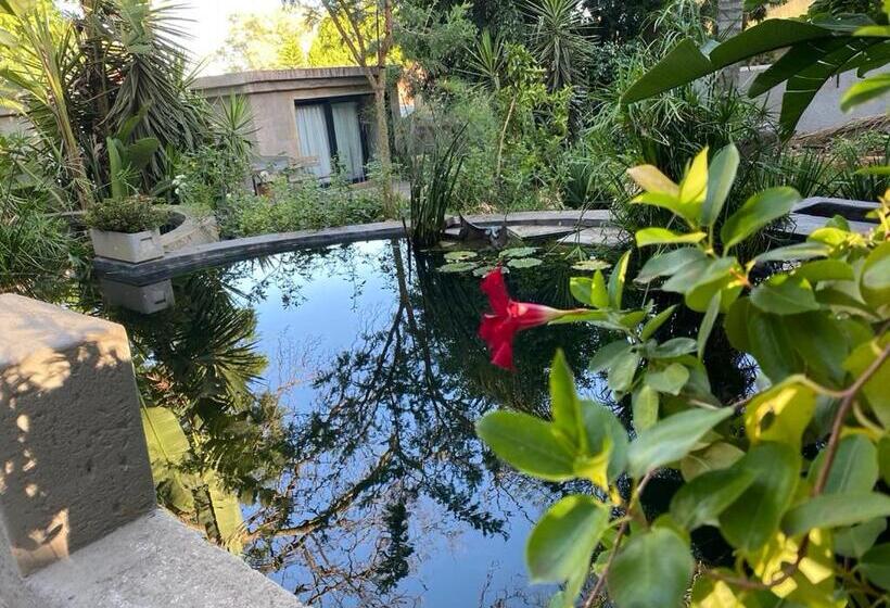 膳宿费 Muckleneuk Manor