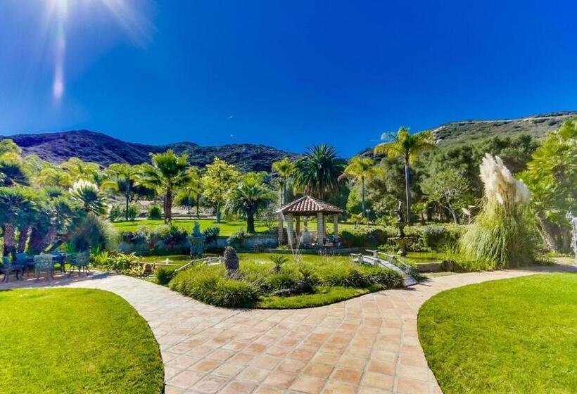 بنسيون Vineyard Hacienda