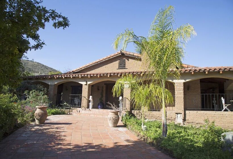 بنسيون Vineyard Hacienda