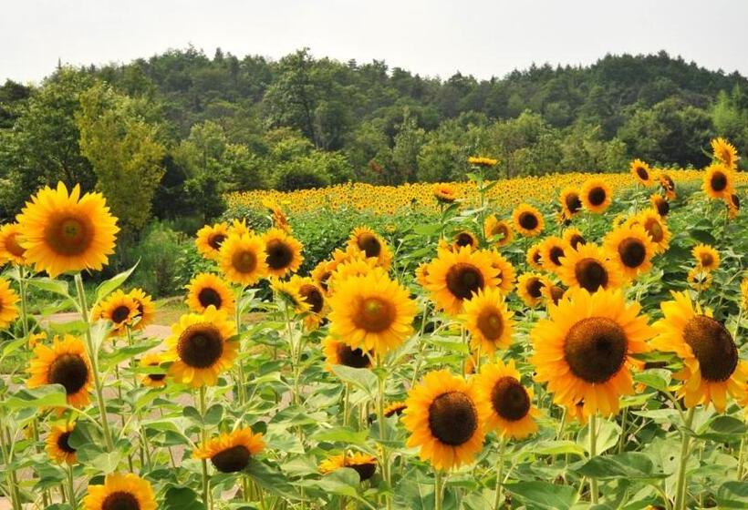 Рёкан Kyukamura Sanukigoshikidai