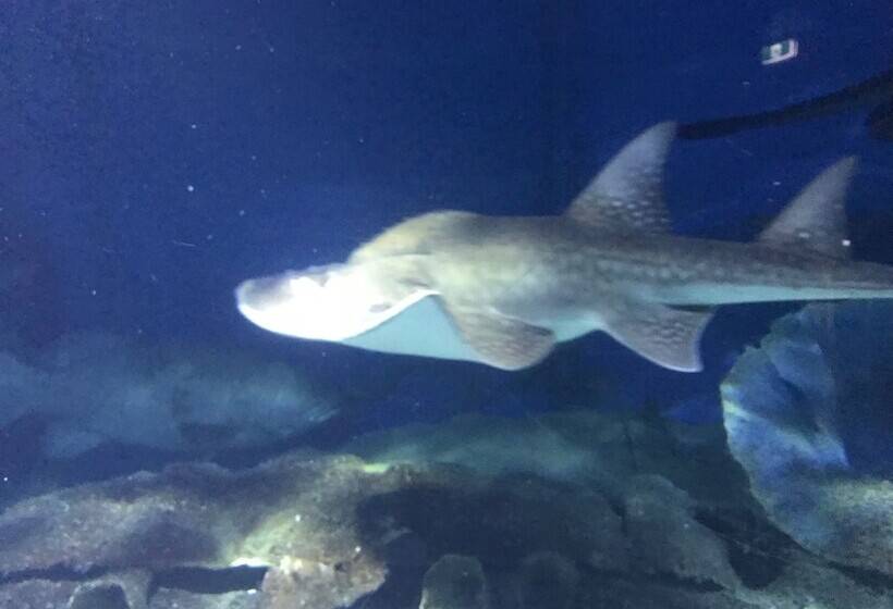 Staycentral   Cityview On City Rd