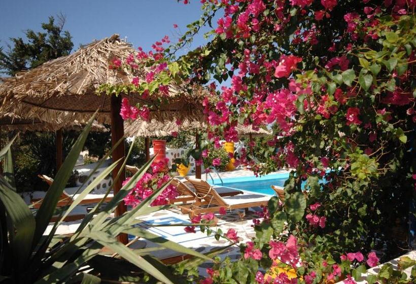 Sun Of Mykonos Studios