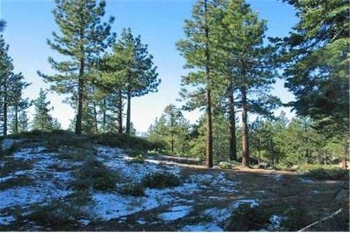 1173 Timber Lane Holiday Home