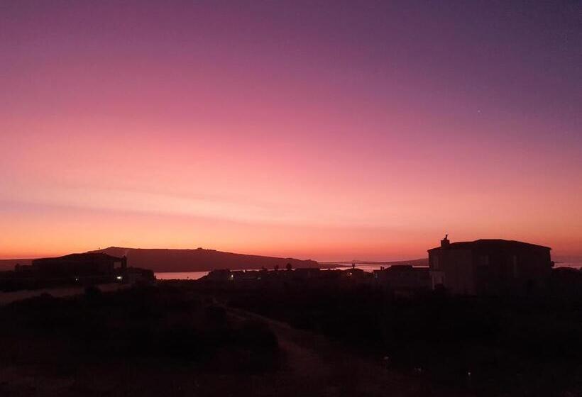 住宿加早餐 Alabaster Box Guesthouse