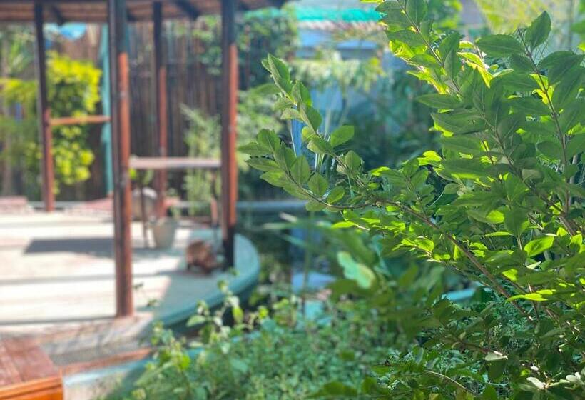 住宿加早餐 Alabaster Box Guesthouse