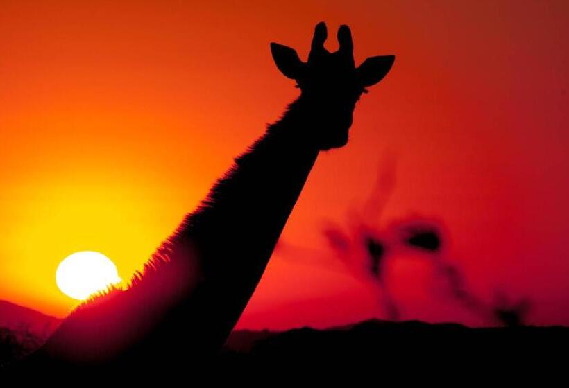 ベッドアンドブレックファースト At Heritage House