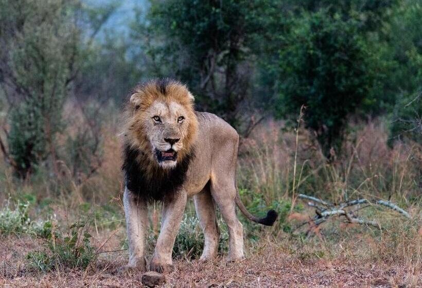 ベッドアンドブレックファースト At Heritage House