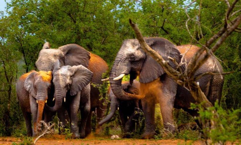 צימר At Heritage House