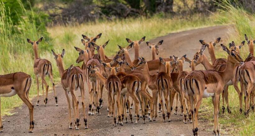 ベッドアンドブレックファースト At Heritage House
