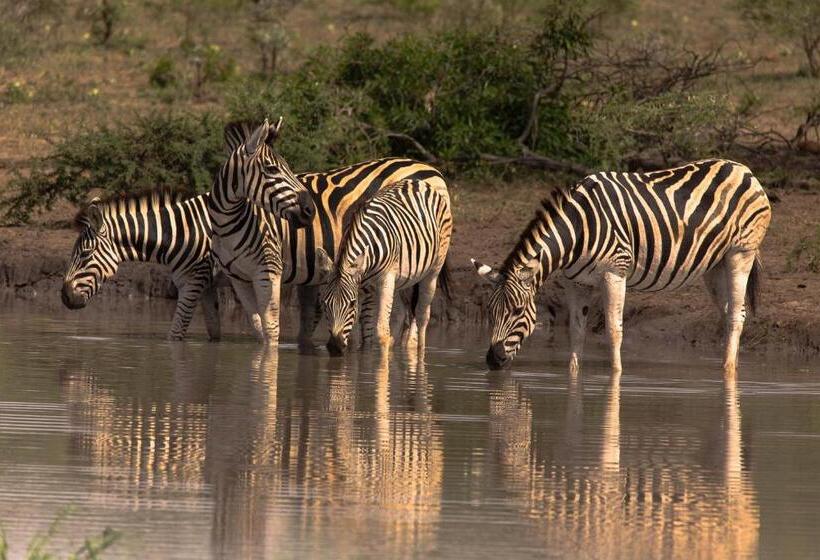 ベッドアンドブレックファースト At Heritage House