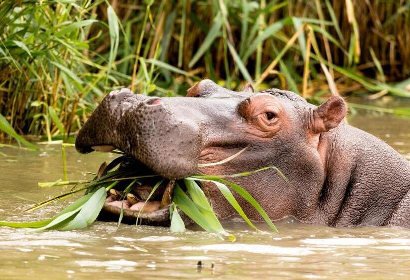 ベッドアンドブレックファースト At Heritage House