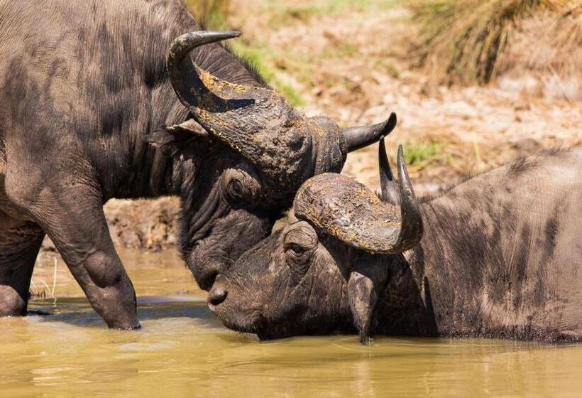 ベッドアンドブレックファースト At Heritage House