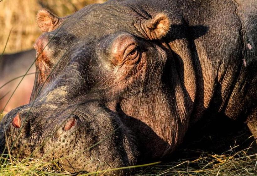 ベッドアンドブレックファースト At Heritage House