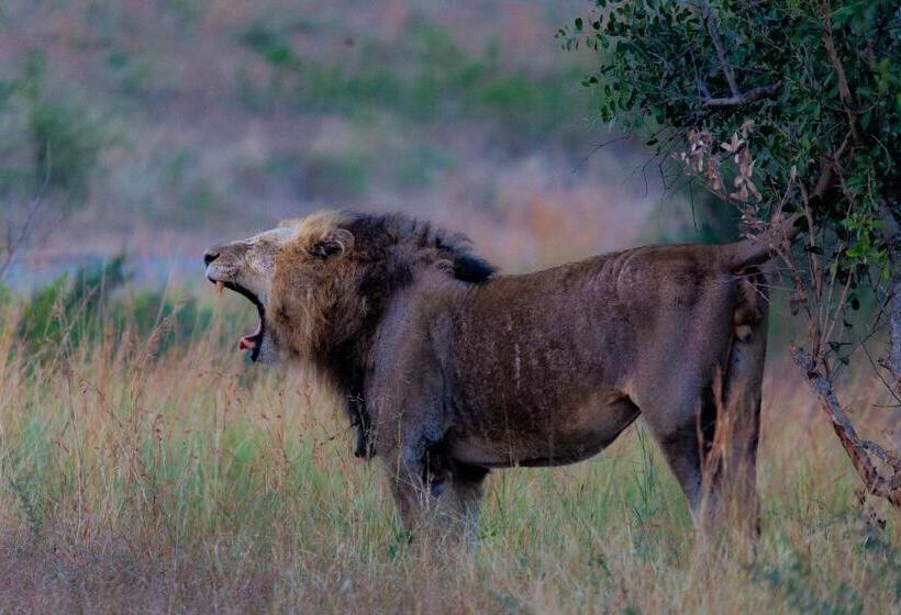 ベッドアンドブレックファースト At Heritage House