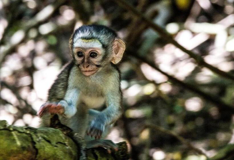 ベッドアンドブレックファースト At Heritage House