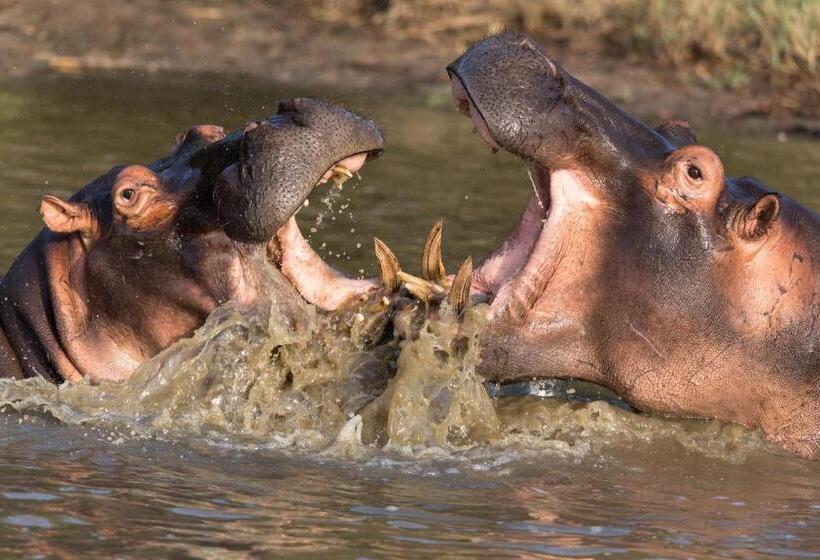 ベッドアンドブレックファースト At Heritage House