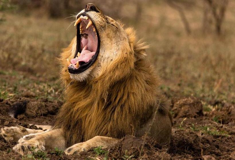 ベッドアンドブレックファースト At Heritage House