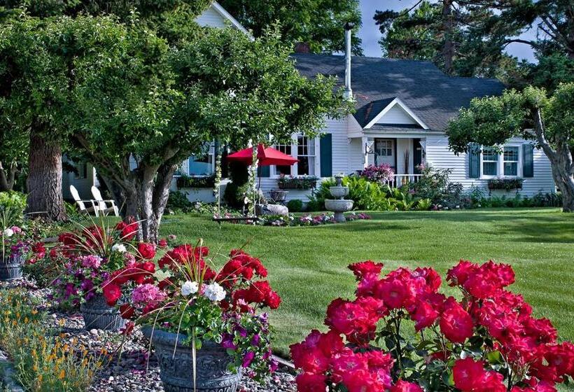 مبيت وإفطار Cozy Rose Inn