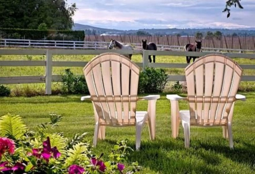 مبيت وإفطار Cozy Rose Inn