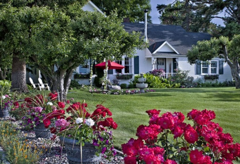 مبيت وإفطار Cozy Rose Inn