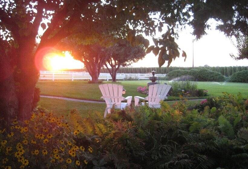 مبيت وإفطار Cozy Rose Inn