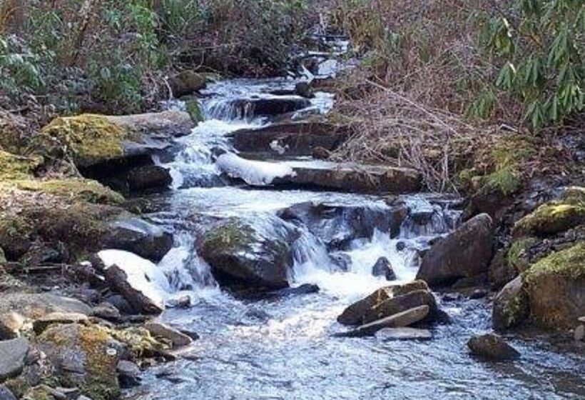 Creekside Paradise Bed And Breakfast