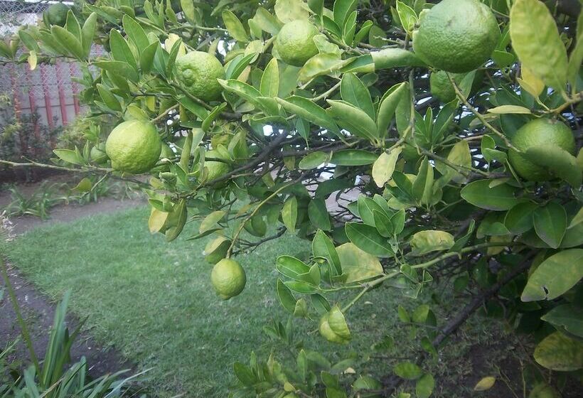 민박 Franchise Guest House