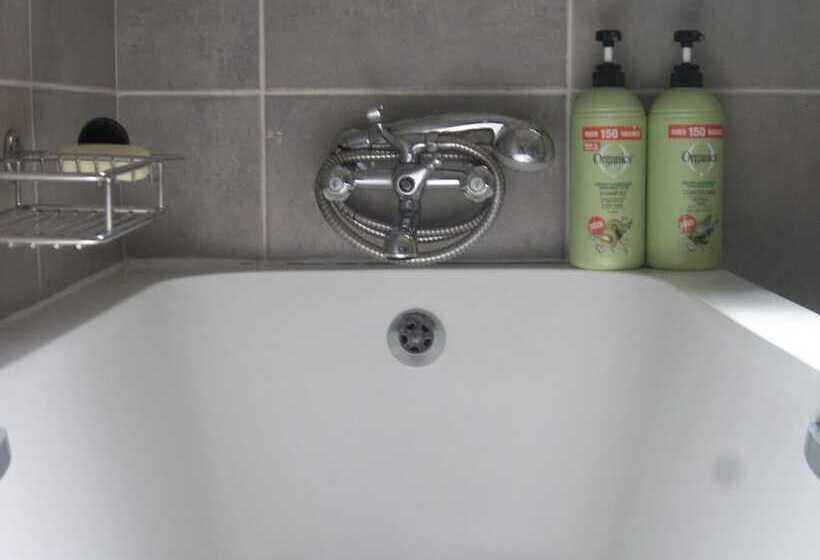 Bed and Breakfast Franchise Guest House