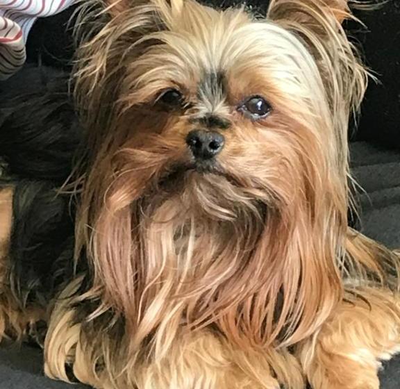 민박 Francolin Manor