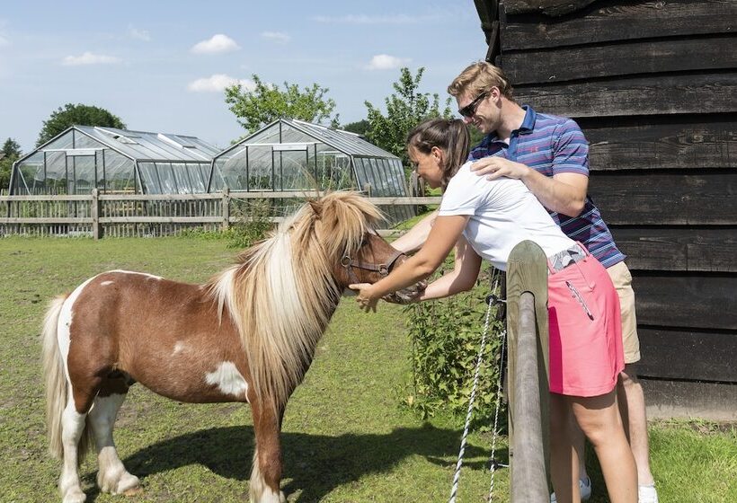 צימר Lithium Bed Zen & Breakfast