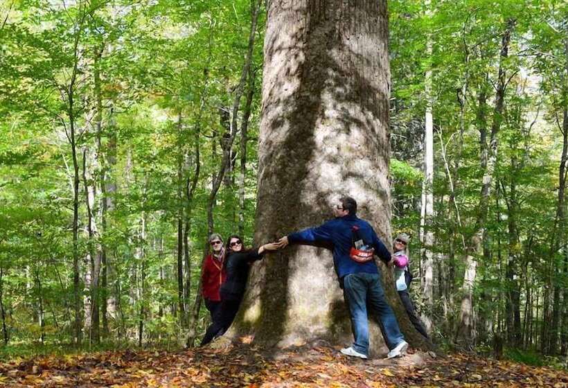 민박 The Owl's Perch