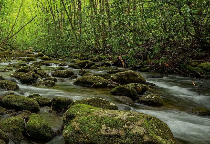 민박 The Owl's Perch