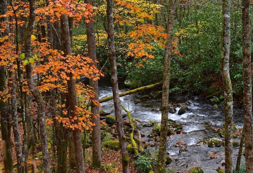 민박 The Owl's Perch