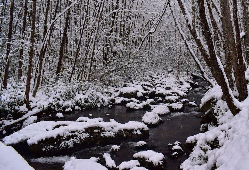민박 The Owl's Perch