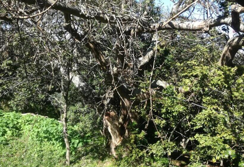 住宿加早餐 Valley Guest House