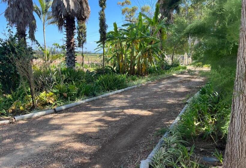 Homestead Bed And Breakfast