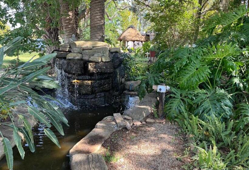 Homestead Bed And Breakfast