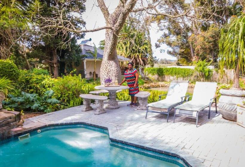 Homestead Bed And Breakfast